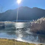 Christine Am וויסנסי