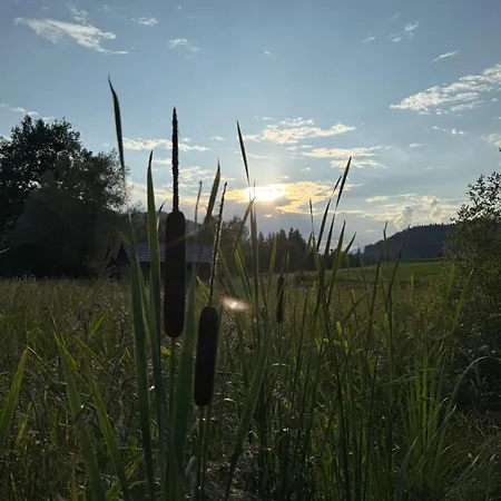 アパート Christine Am *